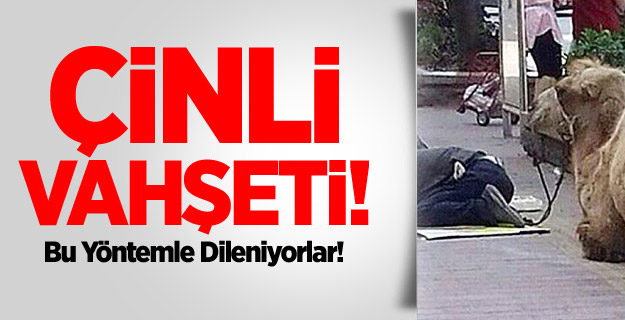 Çinlilerden Korkunç Dilenme Yöntemi