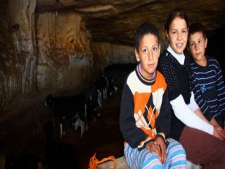 Mağaralara mahkum olan Suriyeliler!