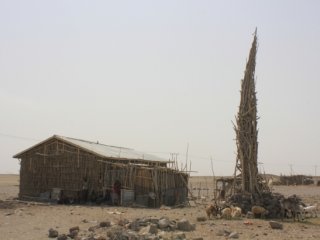 Bu Camiyi Görenler Şaşkına Döndü