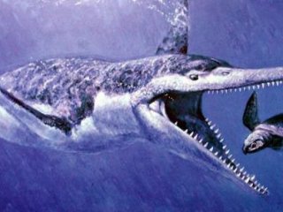 Gebze'de 340 Milyon Yıllık Dinozor Bulundu