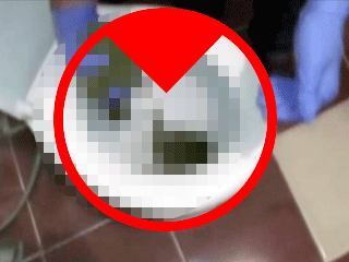 Klozetten Öyle Bir Şey Çıktı Ki..