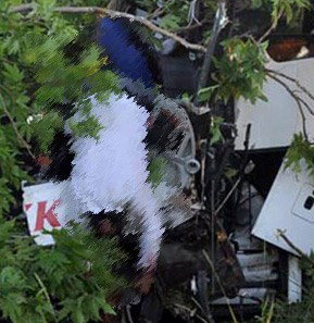 Katliam gibi kaza 11 ölü 34 yaralı