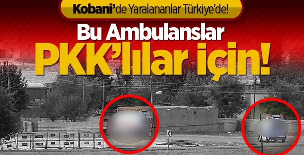 Kobani'de Yaralanan PKK'lılar Türkiye'de!