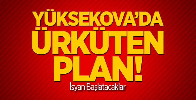 Diyarbakır ve Yüksekova Saldırıları