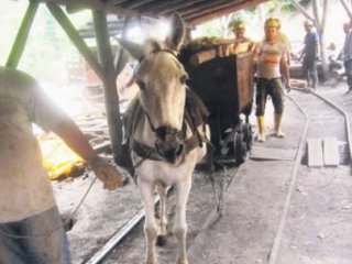 Bu Fotoğraf Her Şeyi Anlatıyor!