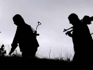 Hakkari'de 2 PKK'lı Teslim Oldu