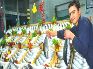 Palamut Fiyatları Daha Da Yükselecek