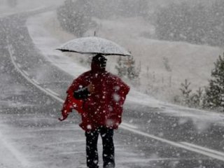 Doğu Karadeniz'de Kar Yağışı Etkili Oluyor