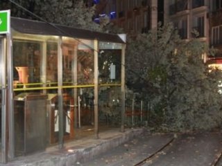 Tramvay Yoluna Ağaç Devrildi