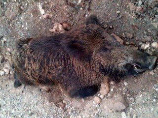 Marmara Denizi'nden Öyle Bir Şey Çıktı Ki..