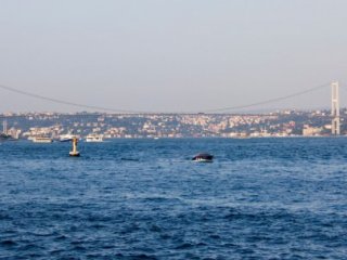 Son Dakika Haberi! İstanbul'da Tekne Faciası!