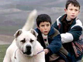 Sivas Filminde Köylülerimize Hakaret