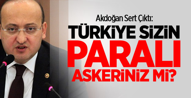 Türkiye Sizin Paralı Askeriniz Mi?