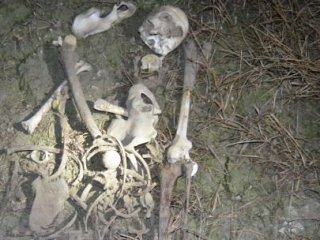 Akşehir Gölünden İskelet Çıktı