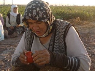 Hükümet O İşçiler İçin Harekete Geçiyor