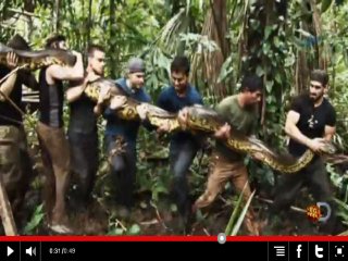 Kendisini Yılana Yem Etti