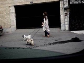 "Köpek Gezdirenler Kırbaçlansın"