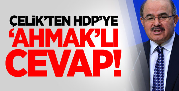 Çelik: HDP Ahmaklığını Tescil Ettiriyor