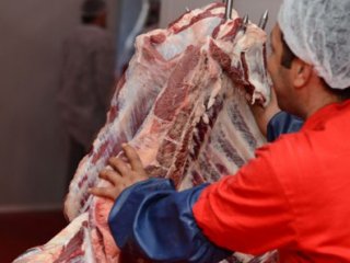 Kırmızı Et Üretimi 3. Çeyrekte Azaldı