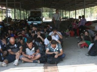 61 Kaçak Göçmen Yakalandı
