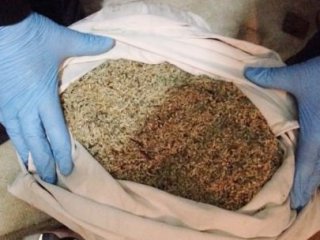 Bonzai Yine Can Aldı!