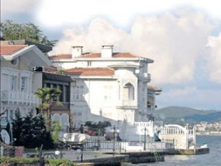 Yalı Sakinlerinde Domuz Paniği!