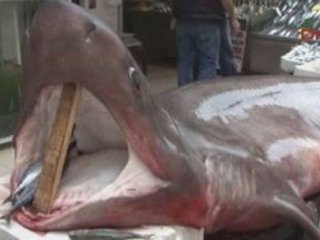 İstanbul'da Yakalandı!