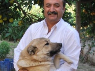 Bu Köpeğin İsmi İsrail'i Kudurtacak!