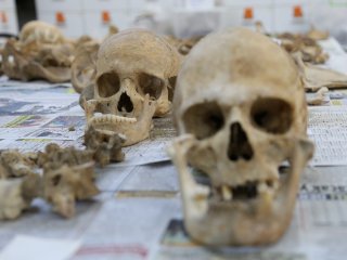 Anadolu'nun "Kemik Koleksiyonu" Tarihe Işık Tutuyor