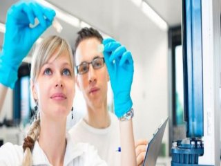 Gurbetçi Gençler BilgiyiTürkiye'ye Taşıyor