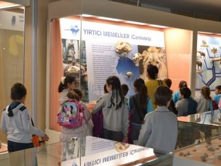 Ankara'da Üç Maymun!