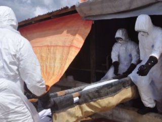 Ebola'da Korkutan Rakam!