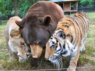 Bu Karelere Çok Şaşıracaksınız