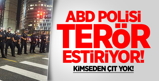 Ferguson Olaylarında Yüzlerce Gösterici Gözaltına Alındı