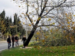 Yalova Belediyesi'nin Uyanıklığına Bakın!