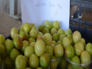 Bir Kilo Erik Fiyatı Cep Yakıyor!