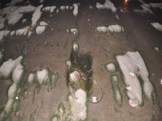 Adana'da Şok Eden Manzara!