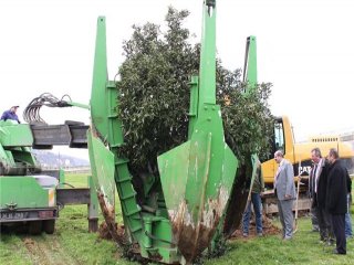 Mumu Çabuk Söndü!