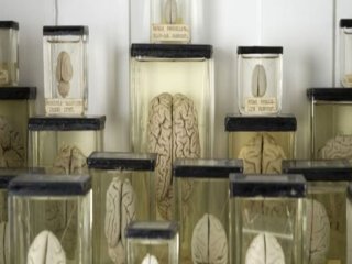 Dünyanın En İlginç Hırsızlığı