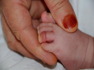 Nasıl Olduğuna İnanamayacaksınız?