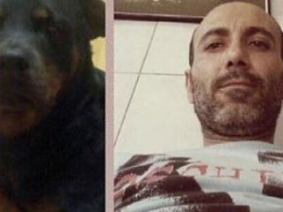 İzmir'de Rottweiler Dehşeti!