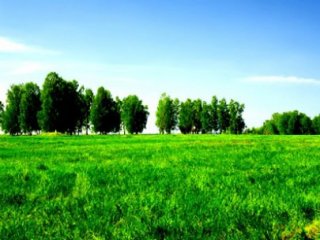 Bakanlık Harekete Geçti! Bedelleri Ödenecek