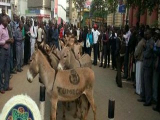 Kenya'da Eşekli 'Bıktık' Eylemi