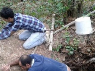 Bu Kadarına Da Pes! Yine..