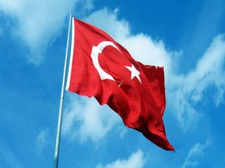 Türk Bayrağını İndiren Şahıs Yakalandı