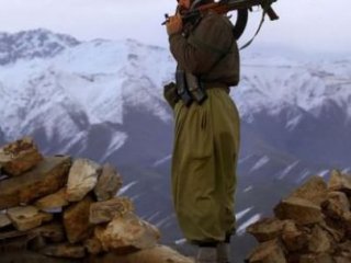 Üst Düzey Bir PKK'lı Yakalandı