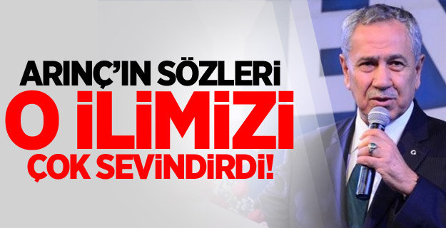 Arınç'ın Sözleri Bu İlimizi Çok Sevindirdi