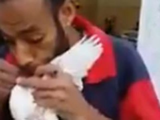 Kuşları Böyle Besliyor