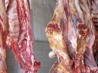 Mersin Limanı'nda Operasyon! Tam 21 Ton..