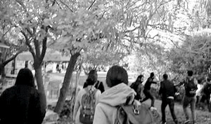 Üniversite'de PKK Terörü